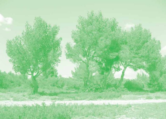 paysage